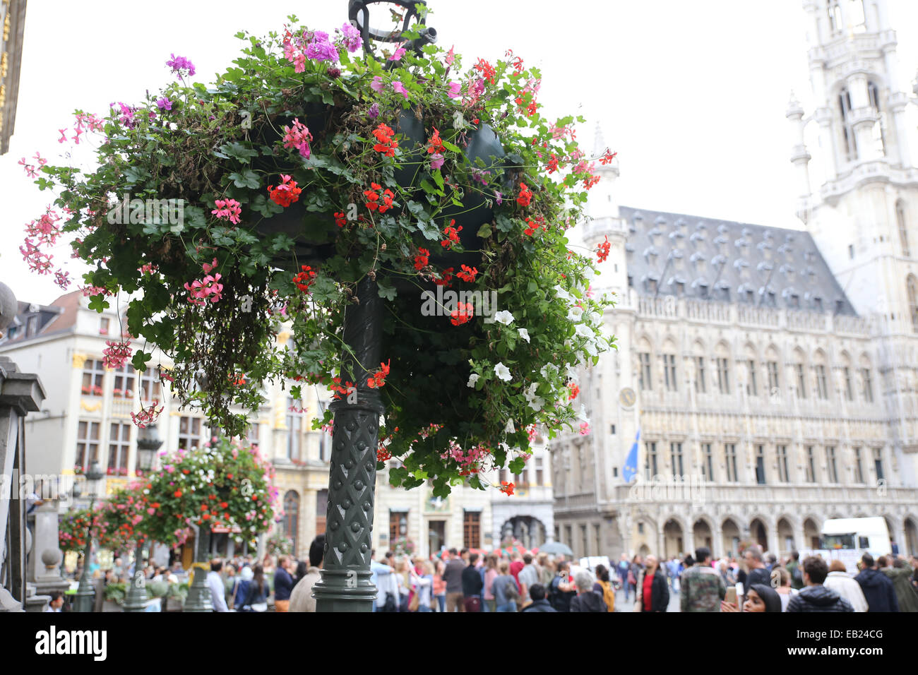 Blume Stand Brüssel Rathaus Grand Place Grote Markt Belgien Stockfoto