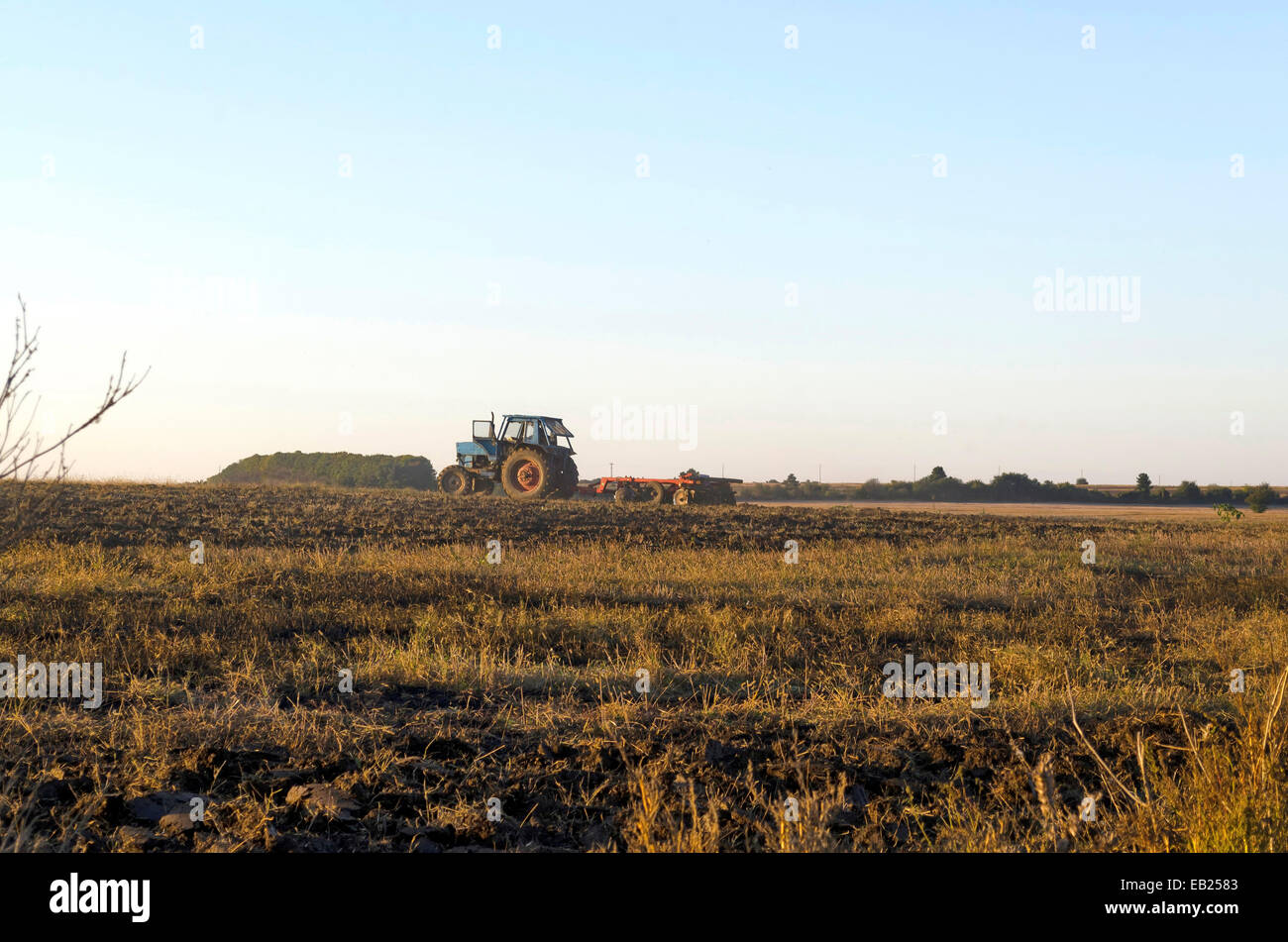 Traktor-Anbau von Weizen Stoppelfeld mit Ernterückstände, Ludogorie, Bulgarien Stockfoto