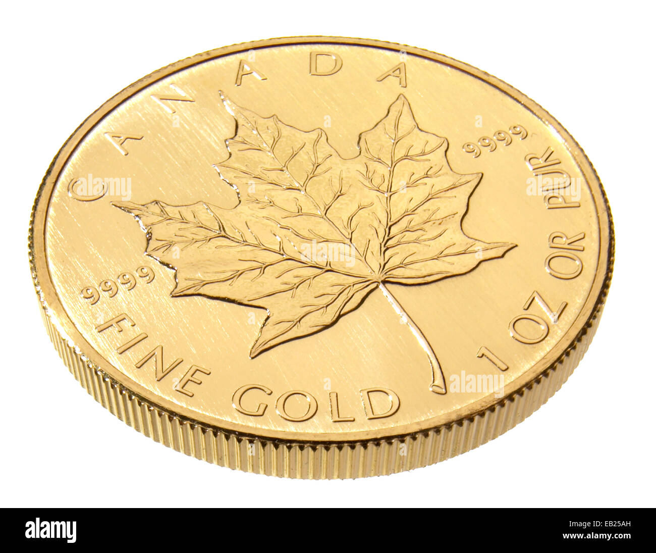 kanadische feine Goldmünze Stockfoto