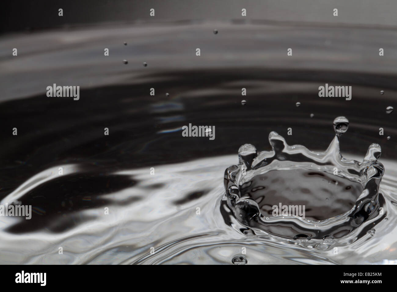 Watercrown Stockfoto