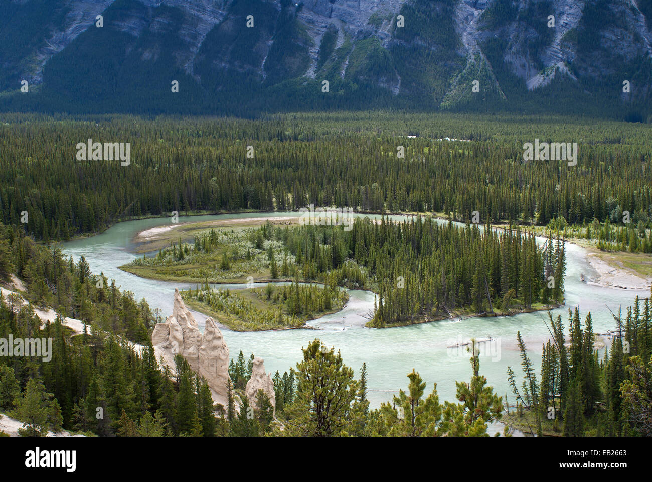 Fluss des Gletscherwassers schlängelt sich durch Wald gegen Rocky Mountains in der Nähe von Banff in Kanada. Stockfoto