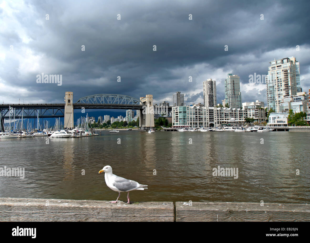 Möwe Fronten historische Burrard Bridge in Vancouver (Kanada) bei dunklen bewölktem Himmel. Stockfoto