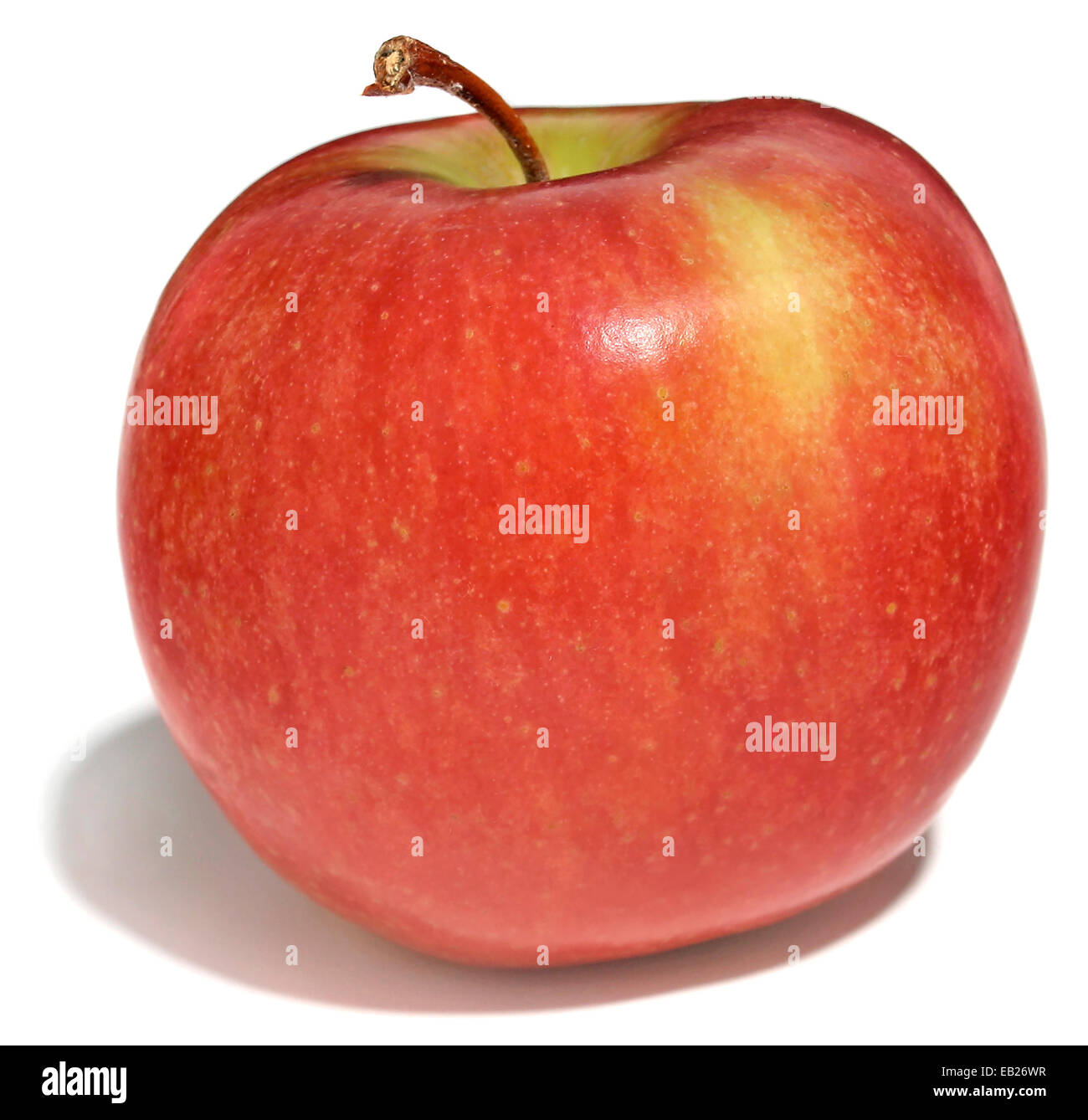 Jona gold Apple auf weißem Hintergrund fotografiert Stockfoto