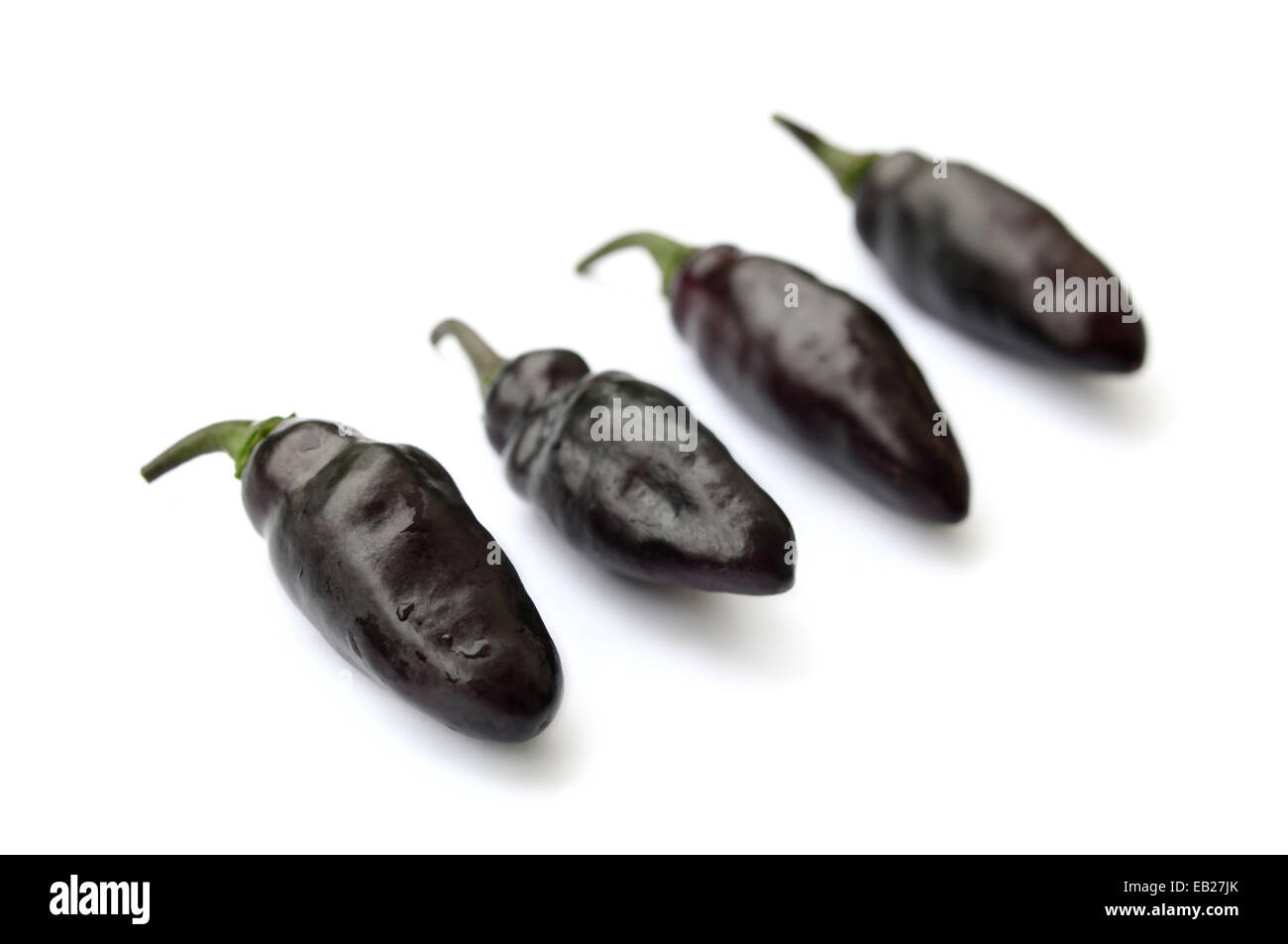 Schwarze chilis als pimenta de neyde Chilis auf weißem Hintergrund in diesem Studio Fotografie essen Foto isoliert bekannt. Vier chilis in einer diagonalen Reihe Stockfoto
