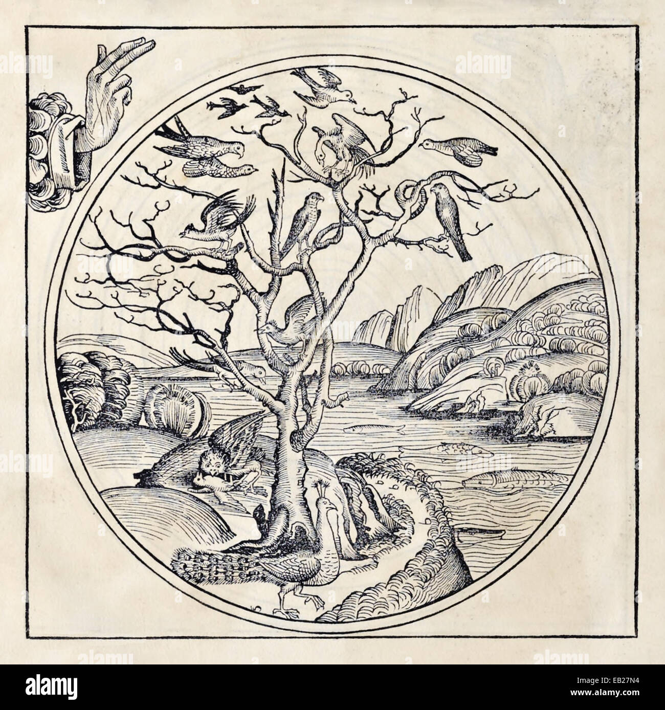 5. der Tag der Schöpfung (Genesis 01:20-23), erschafft Gott alles Leben, das im Wasser lebt und die Vögel. Von "Liber Chronicarum" von Hartmann Schedel (1440-1514). Siehe Beschreibung für mehr Informationen. Stockfoto