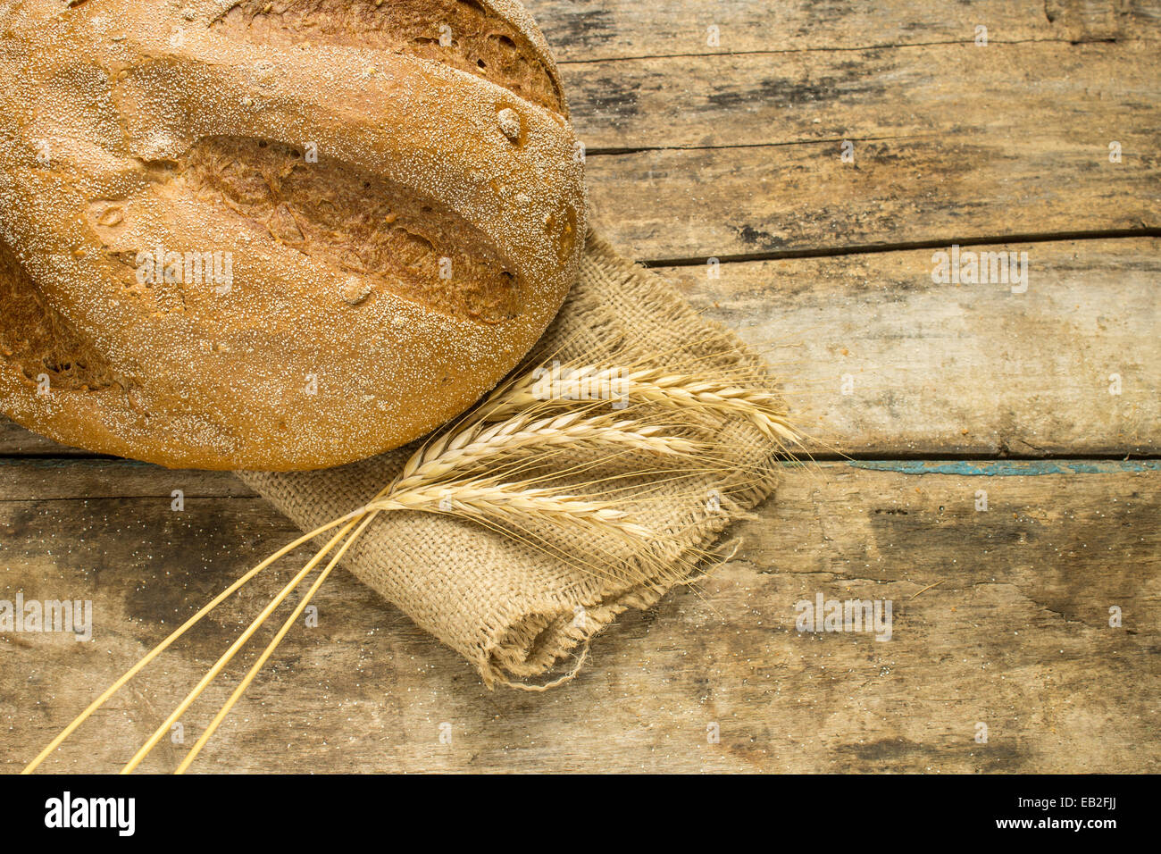 Frisches Brot mit Ähren auf Holztisch. Landwirtschaftliche Nutztierhaltung Hintergrund Stockfoto
