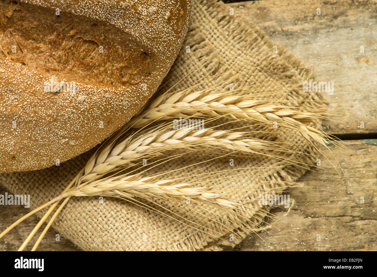 Frisches Brot mit Ähren auf Holztisch. Landwirtschaftliche Nutztierhaltung Hintergrund Stockfoto