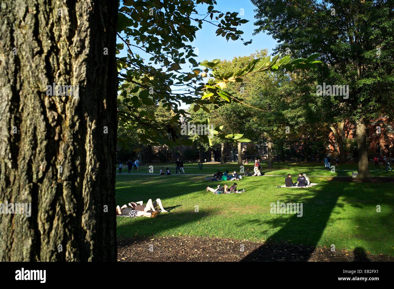 Studenten auf dem Campus der Yale University zu entspannen. Stockfoto