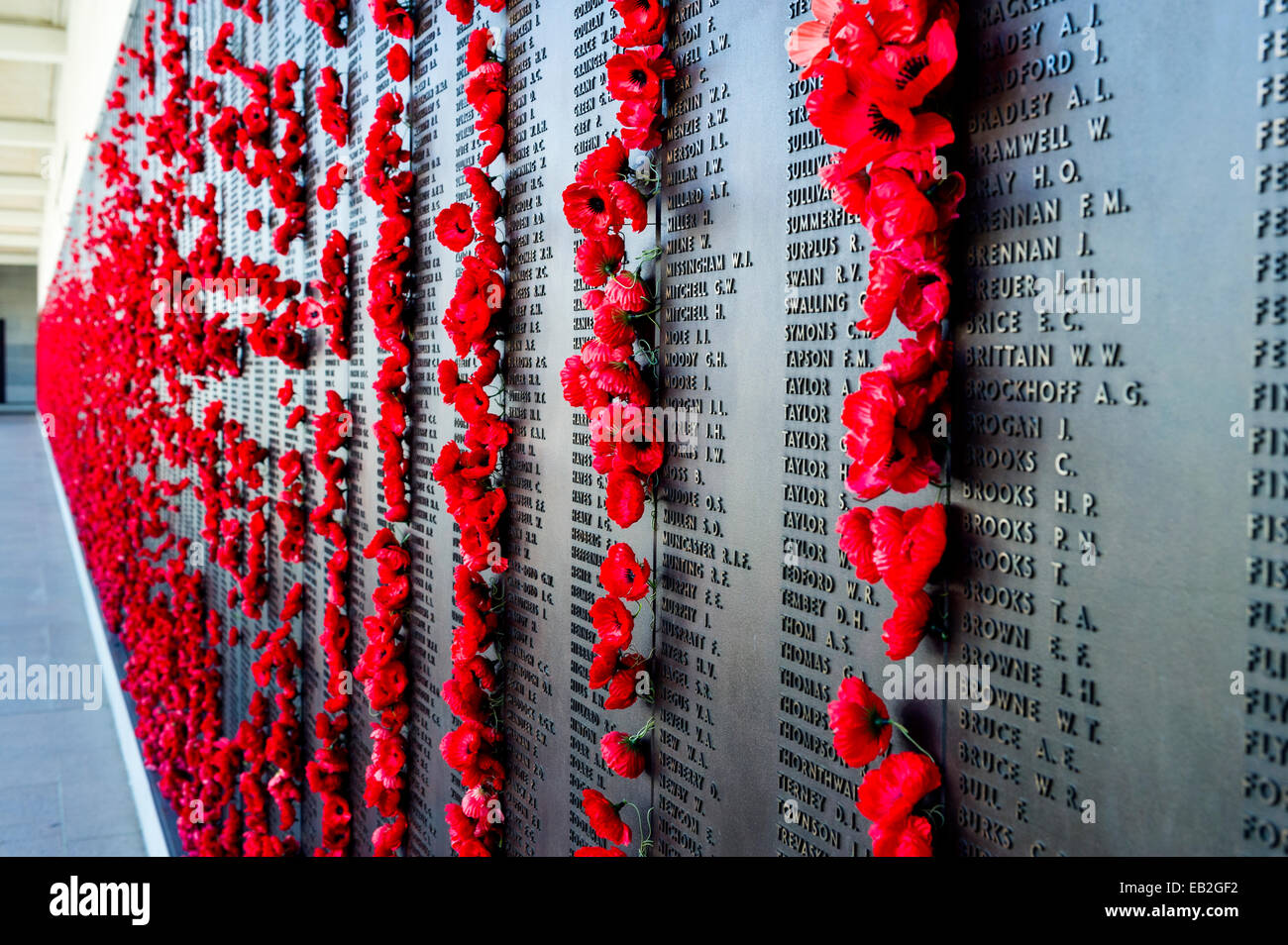 Die Ehrentafel und die Namen der gefallenen Soldaten erinnerte sich mit leuchtend rote Mohnblumen mit Blick auf die Halle der Erinnerung. Stockfoto