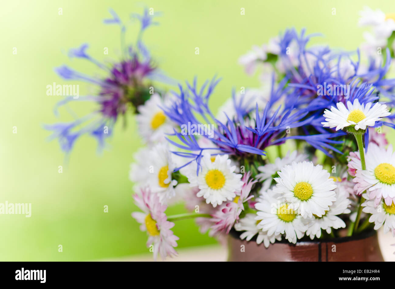 Bouquet von Gänseblümchen auf dem Tisch im Garten. Sommer Hintergrund Stockfoto