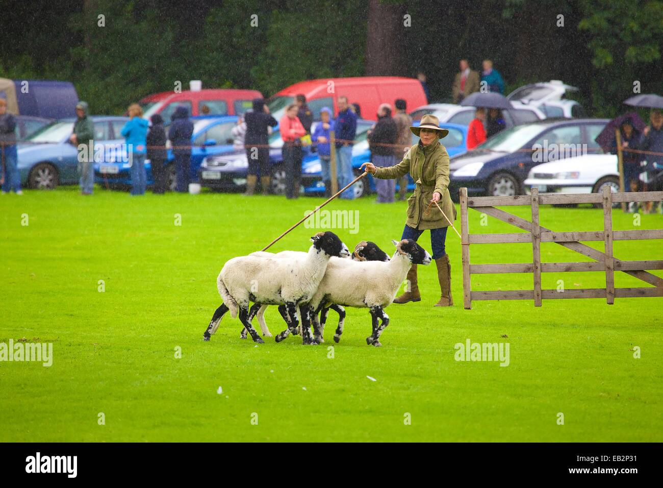 Katy Cropper im Regen im Wettbewerb Patterdale Tag des Hundes in der Nähe von Patterdale, The Lake District, Cumbria, England, UK. Stockfoto