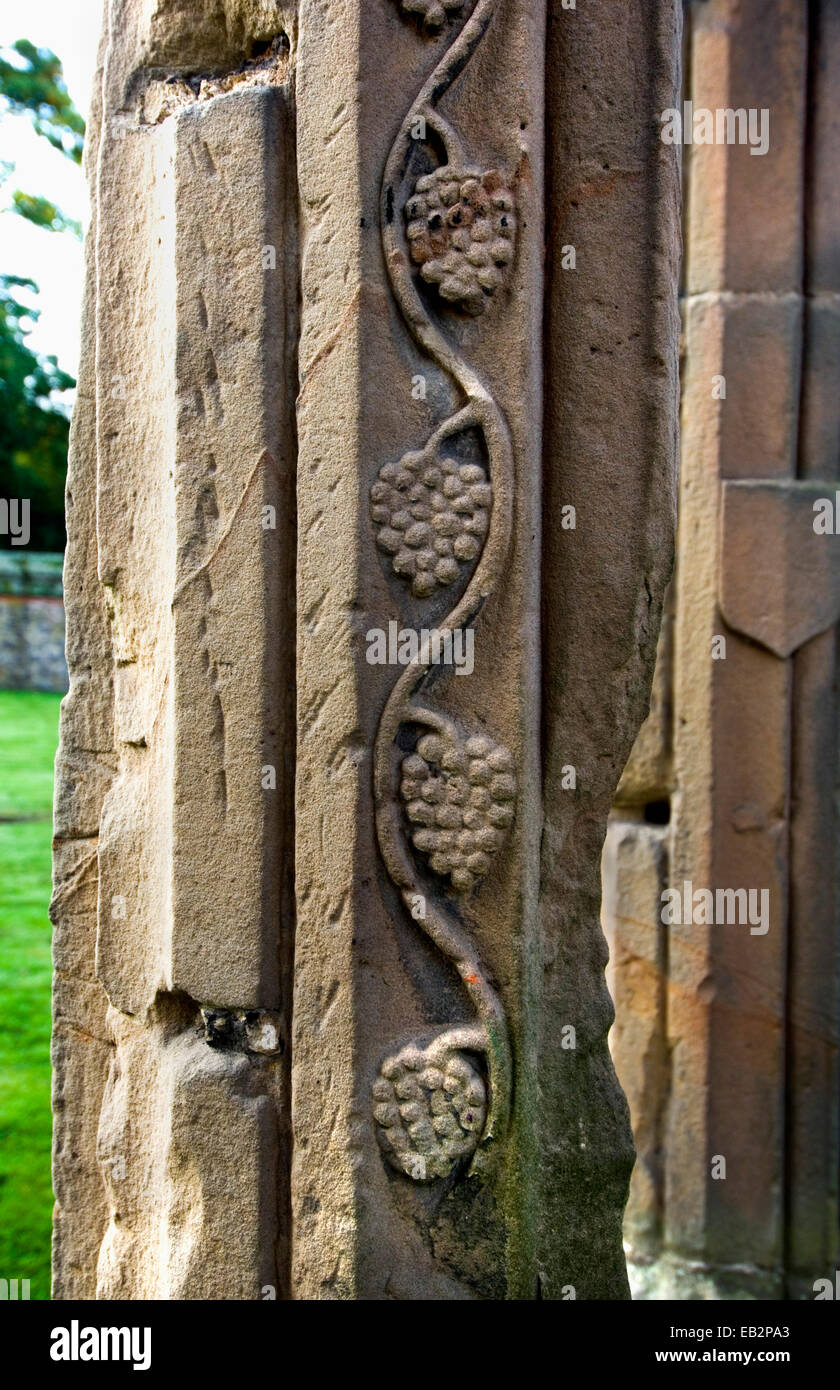 Steinerne Rebe Dekoration, Haughmond Abbey, Shropshire, UK Stockfoto