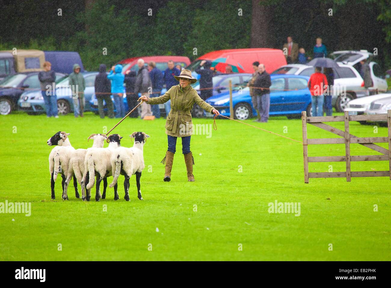 Katy Cropper im Regen im Wettbewerb Patterdale Tag des Hundes in der Nähe von Patterdale, The Lake District, Cumbria, England, UK. Stockfoto