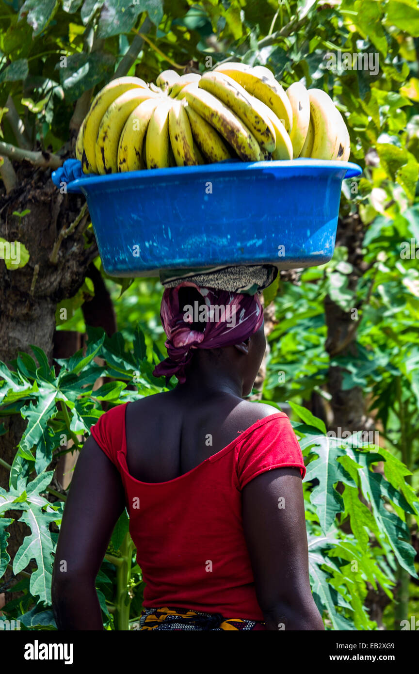 Eine Frau geht durch ein Dorf mit ein paar Bananen auf dem Kopf in einem Plastikeimer. Stockfoto