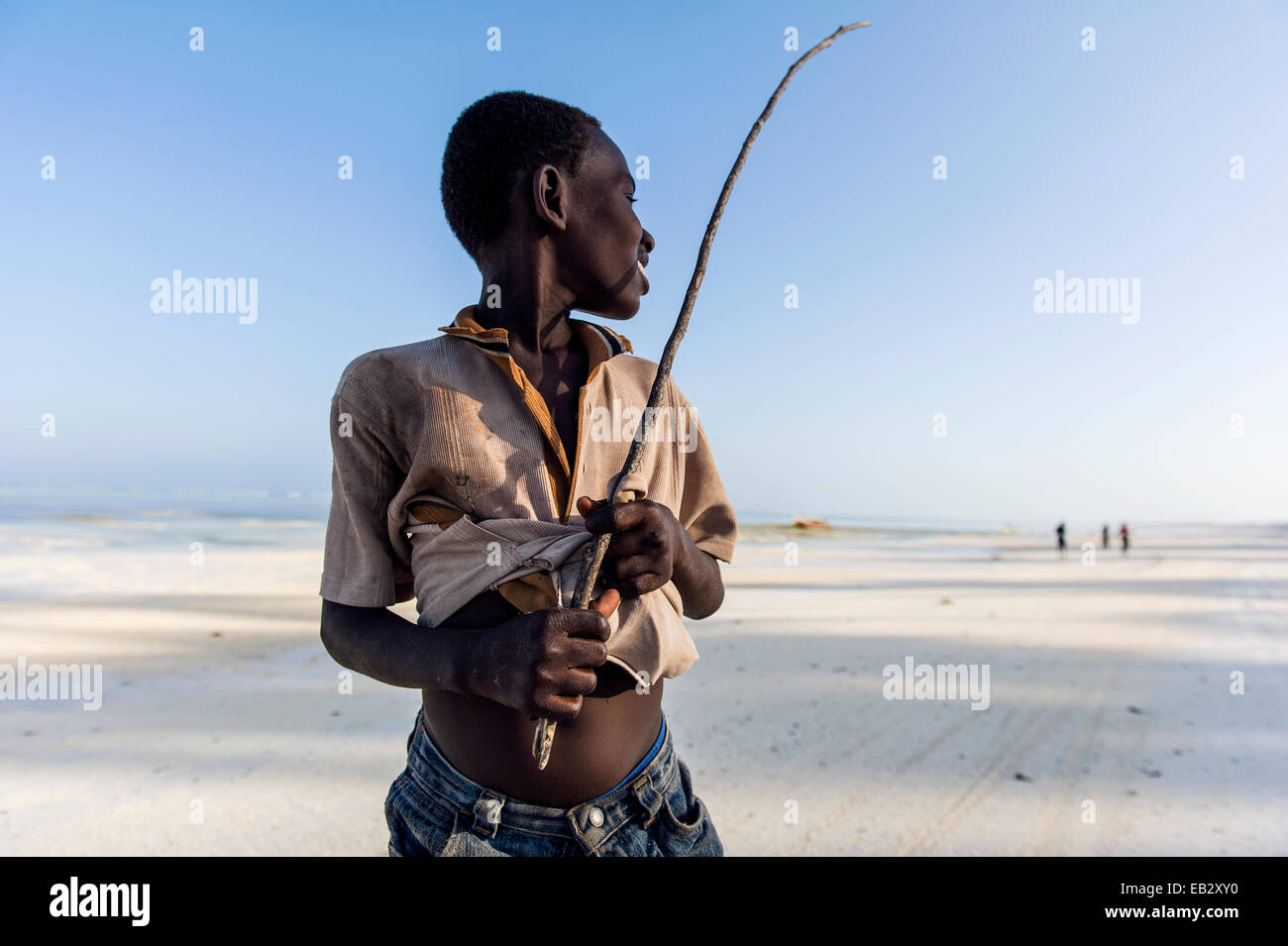 Ein kleiner Junge mit einem Stock, die Bewachung der seine Familie Rinderherden auf einem einsamen tropischen Insel Strand. Stockfoto