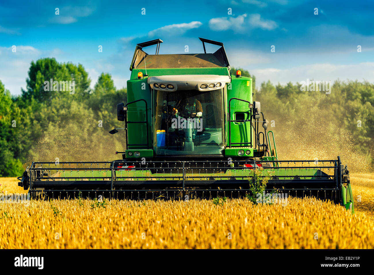 Mähdrescher ernten Getreide, Grevenbroich, Nordrhein-Westfalen, Deutschland Stockfoto