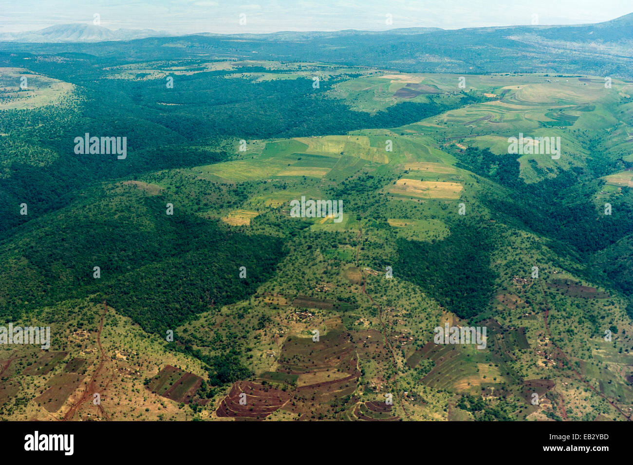 Terrassenförmig angelegten Feldern bedecken die Hänge der Berge des Regenwaldes gelöscht. Stockfoto