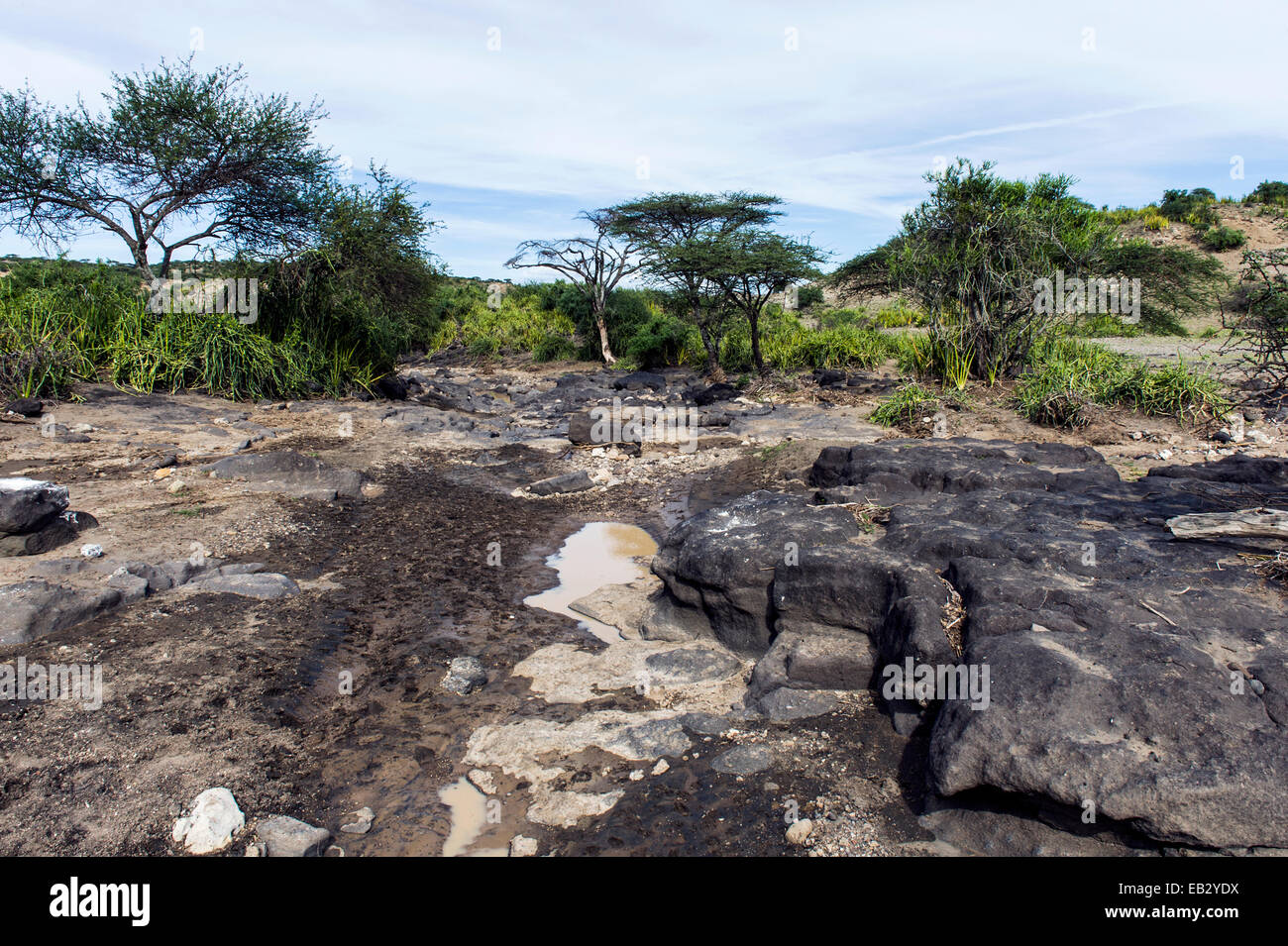 Schlammigen Pfützen neben ausgewaschene Felsen in ein ausgetrocknetes Flussbett schwinden. Stockfoto