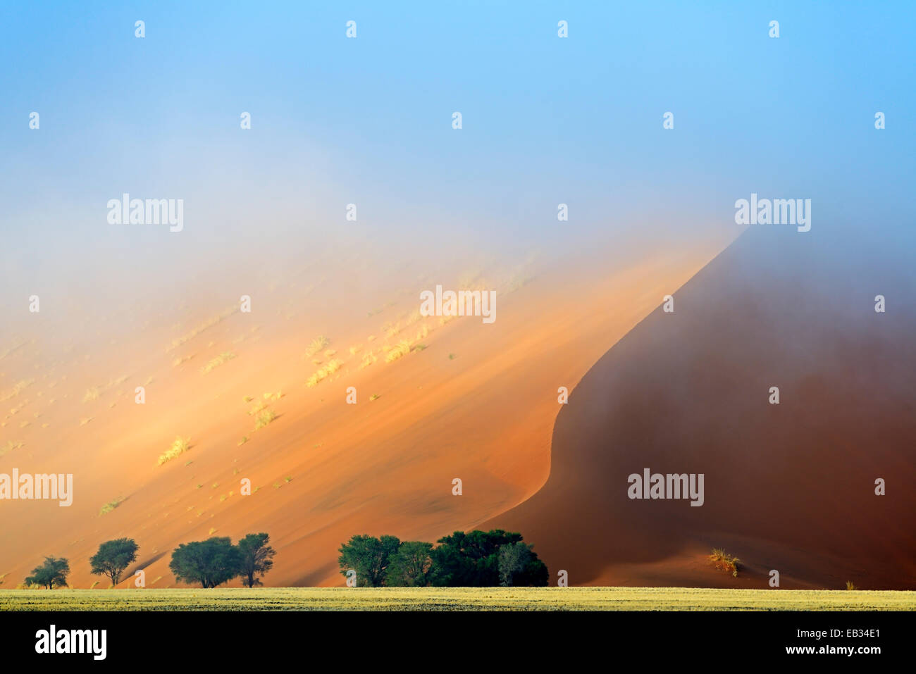 Düne im Morgennebel, Sossusvlei, Namib Wüste, Namib-Naukluft-Nationalpark, Namibia, Namibia Stockfoto