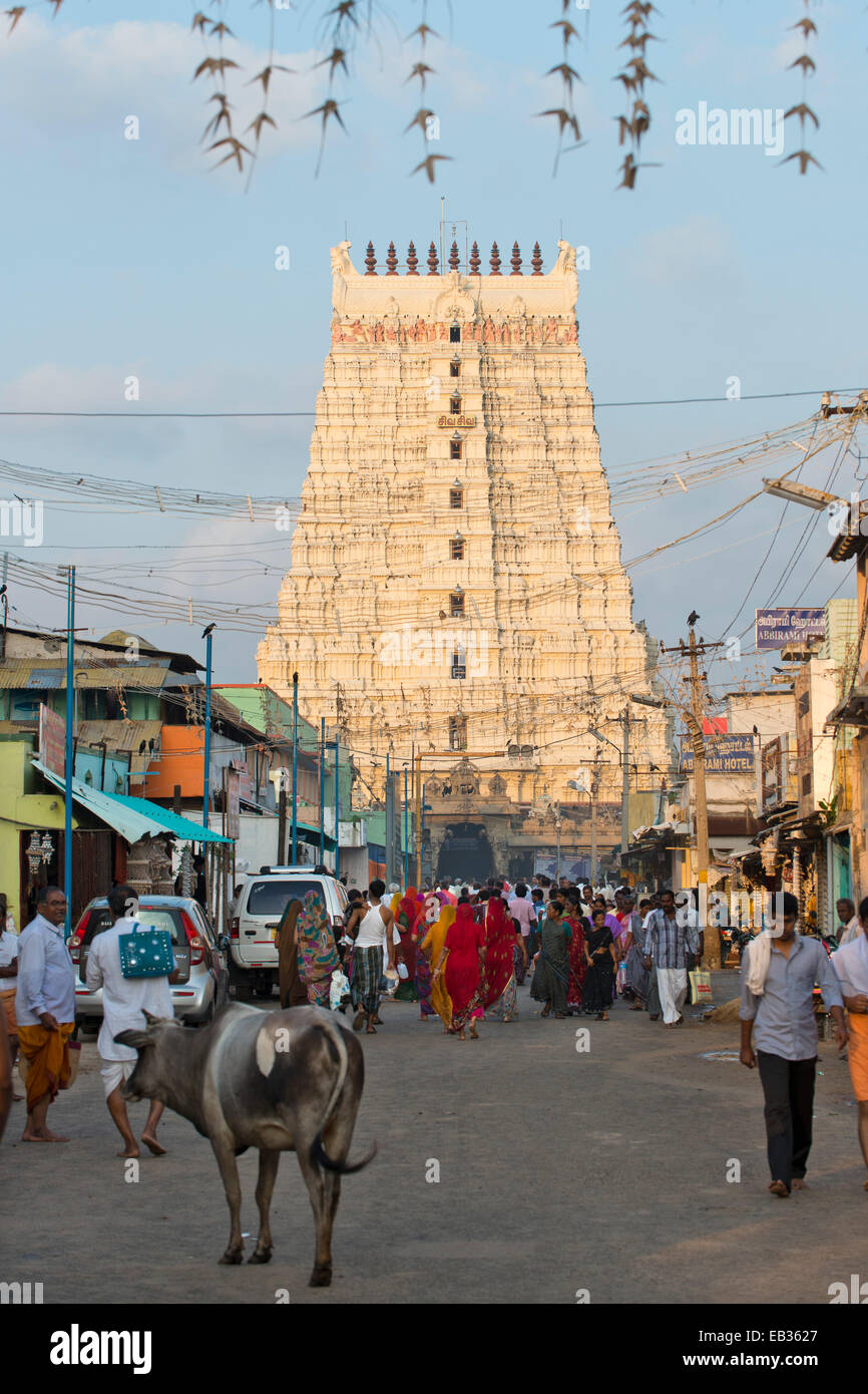 Straßenszene mit Pilger vor dem Gopuram oder Gateway Tower, Ramanathaswami Tempel, Rameswaram, Pamban Insel Stockfoto