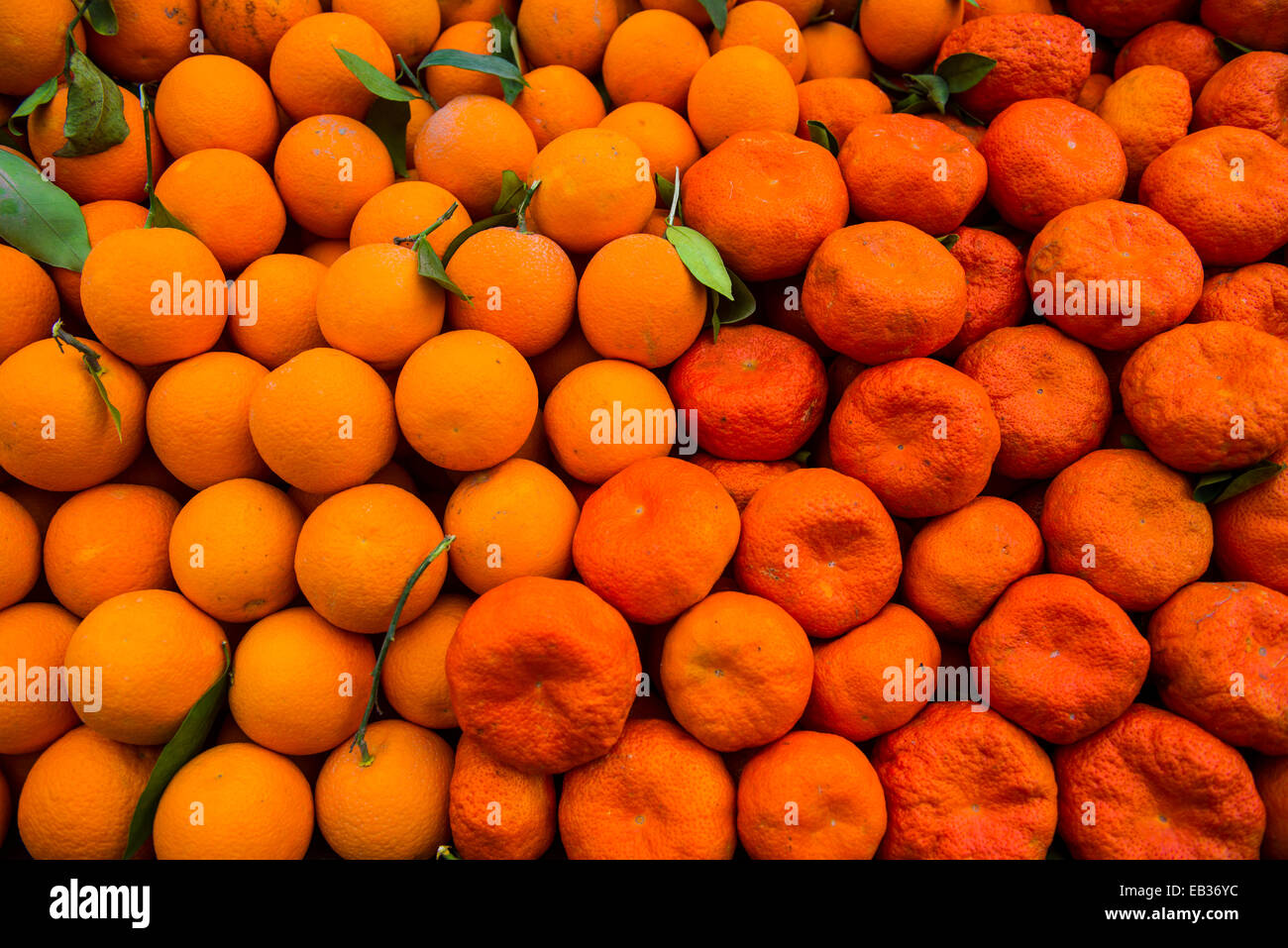 Orangen und Mandarinen zum Verkauf im Basar von Sulaymaniyah, Sulaymaniyah, irakische Kurdistan, Irak Stockfoto