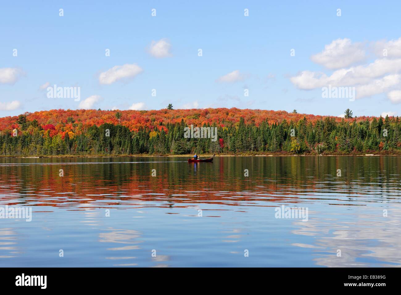 Canoe Lake mit Kanuten und einen Wald in Herbstfarben, Provinz Algonquin Provincial Park, Ontario, Kanada Stockfoto