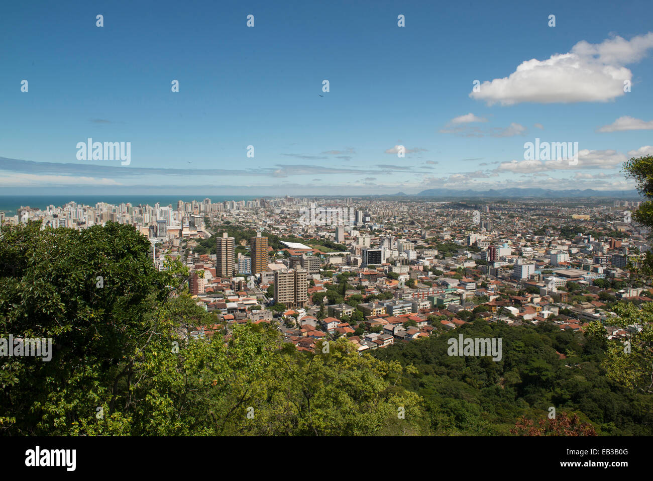 Bäume mit Blick auf Vitoria Stadtbild, Santo, Brasilien Stockfoto
