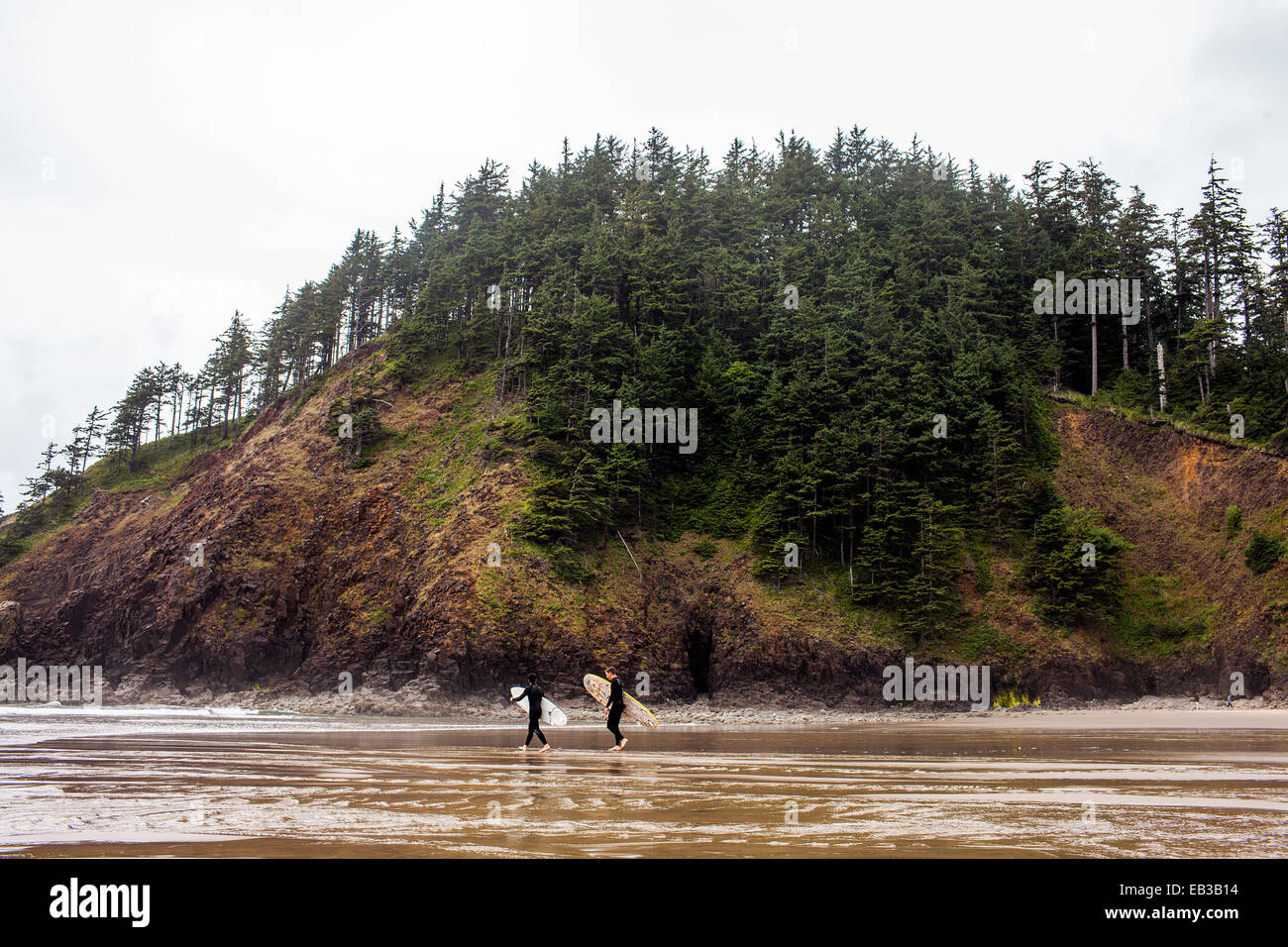 Surfer, die Surfbretter am Strand tragen Stockfoto