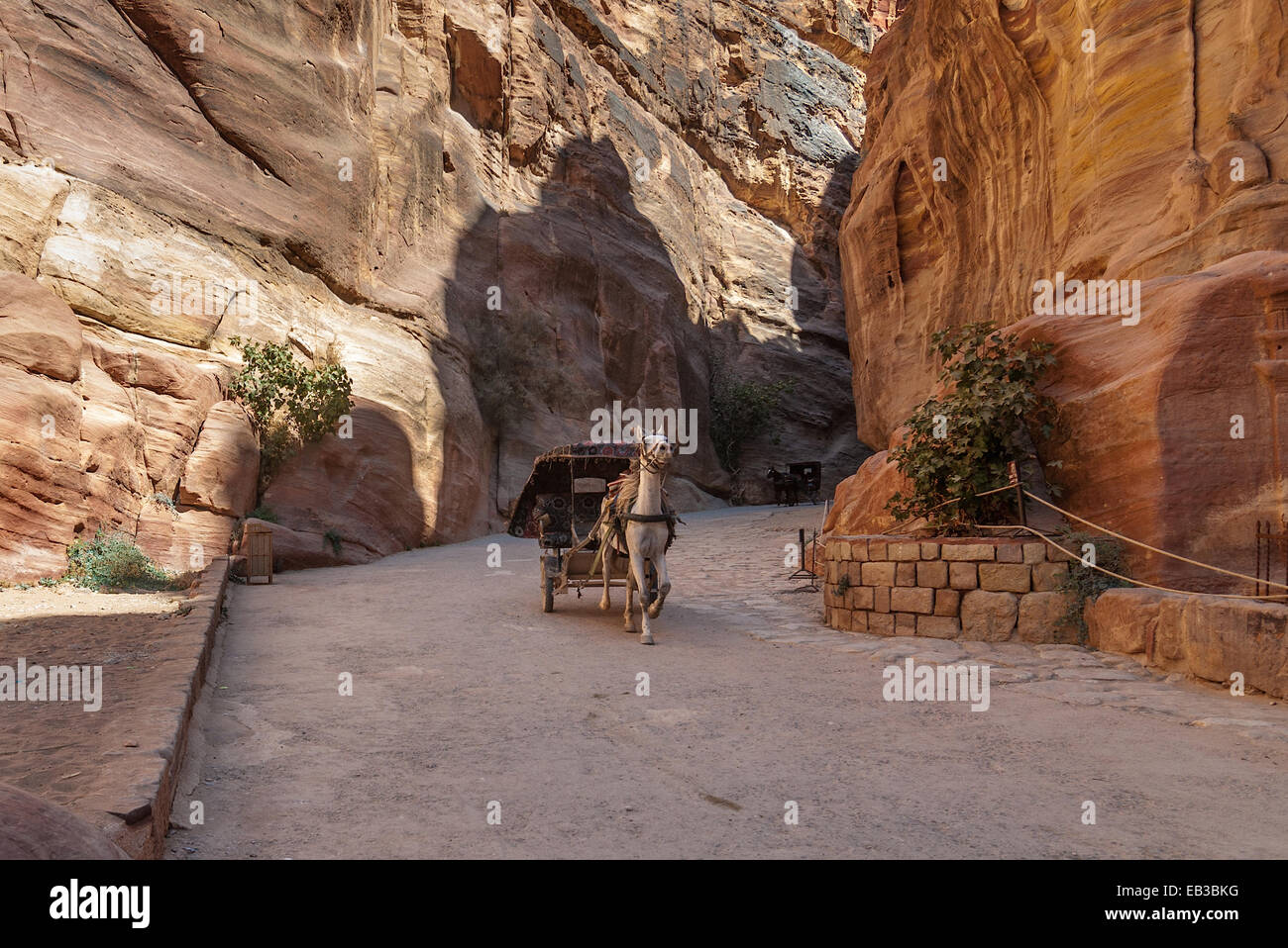 Jordan, Ma'an, Umm Sayhun, Petra, Pferdekutsche Fähren touristische Stockfoto