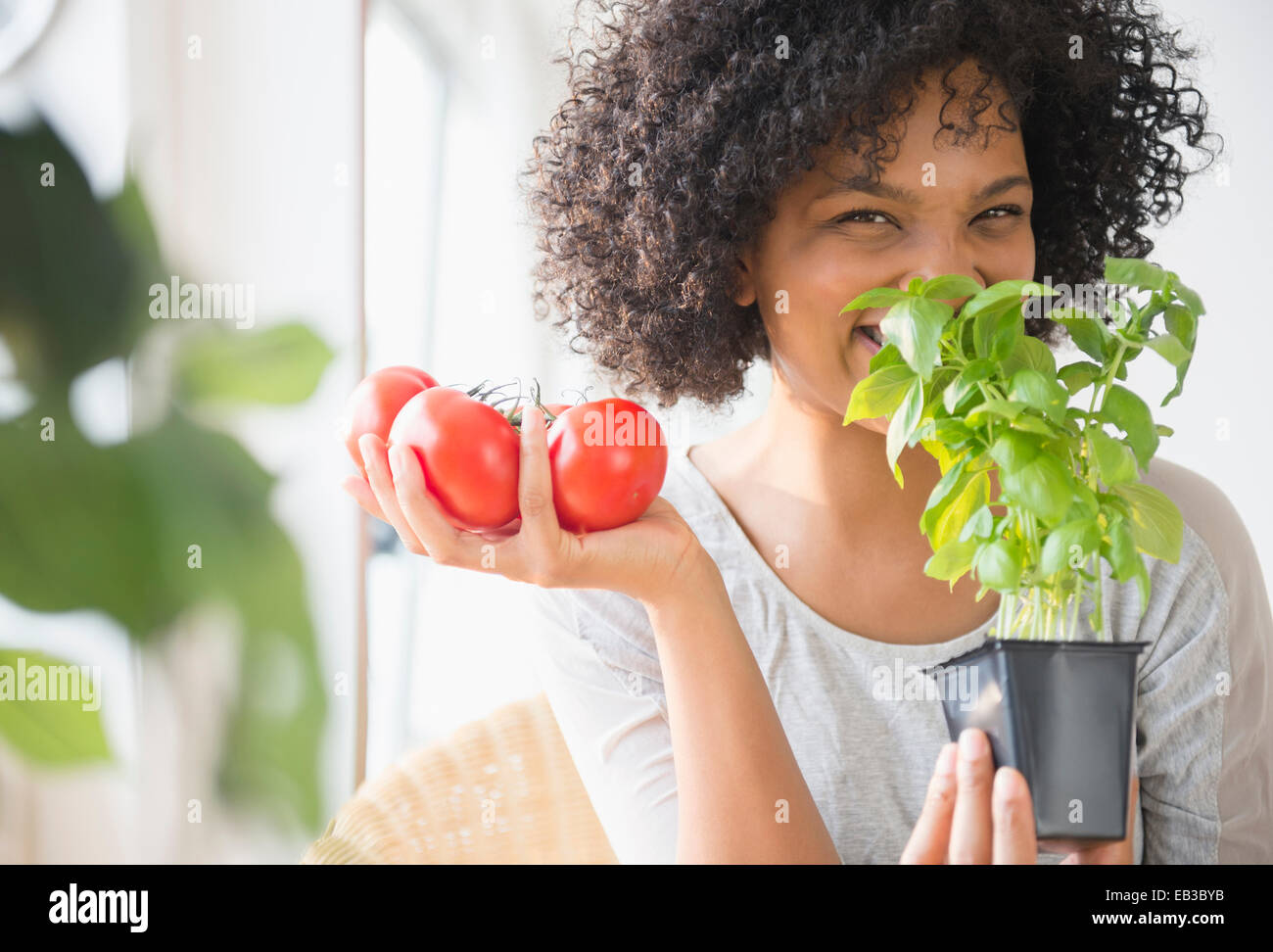 Lächelnde Frau mit Tomaten riechende Pflanze Stockfoto