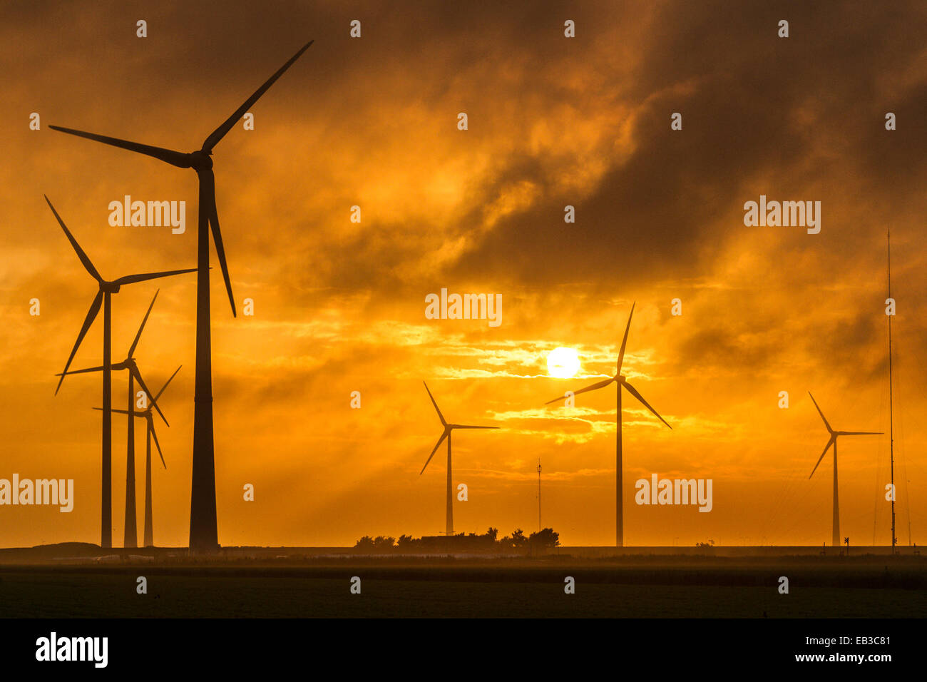Windenergieanlagen bei Sonnenaufgang, Eemshaven, Emsmündung, Groningen, Holland Stockfoto