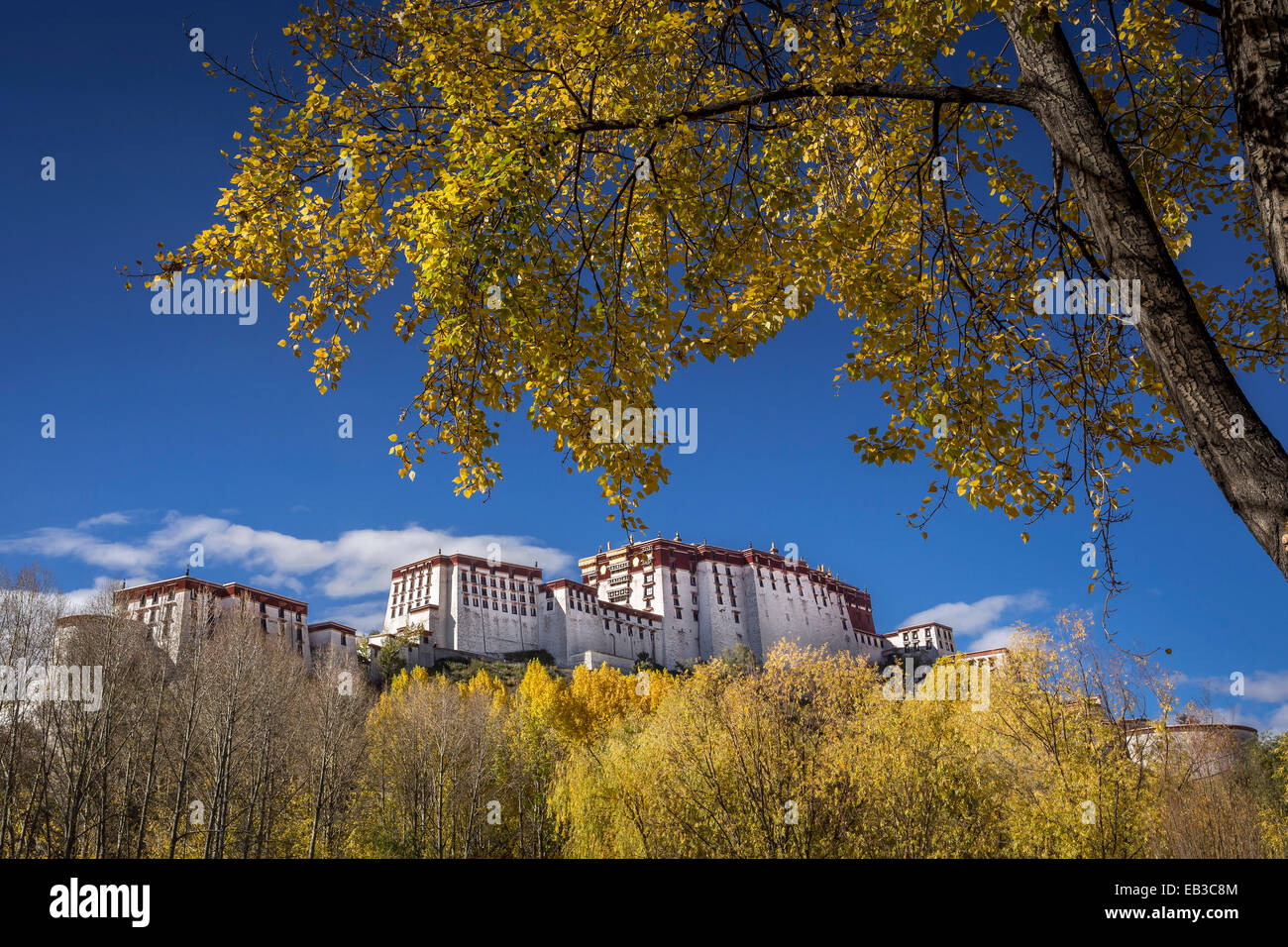 Potala Palast im Herbst, Lhasa, Tibet, China Stockfoto