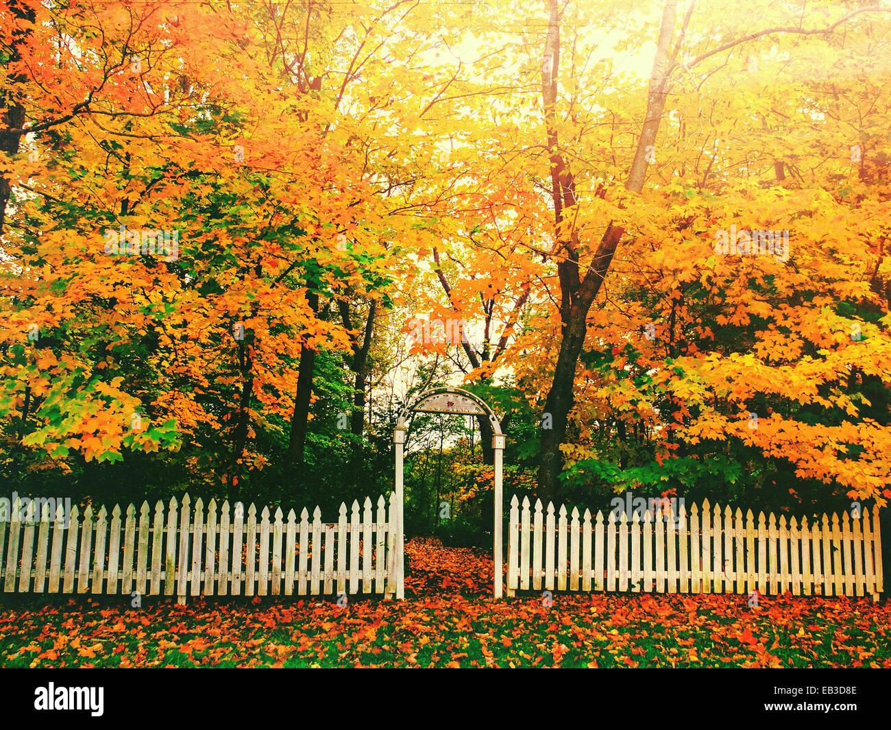 USA, Indiana, Zionsville, Boone County, weißer Zaun und gelbe Bäume Stockfoto