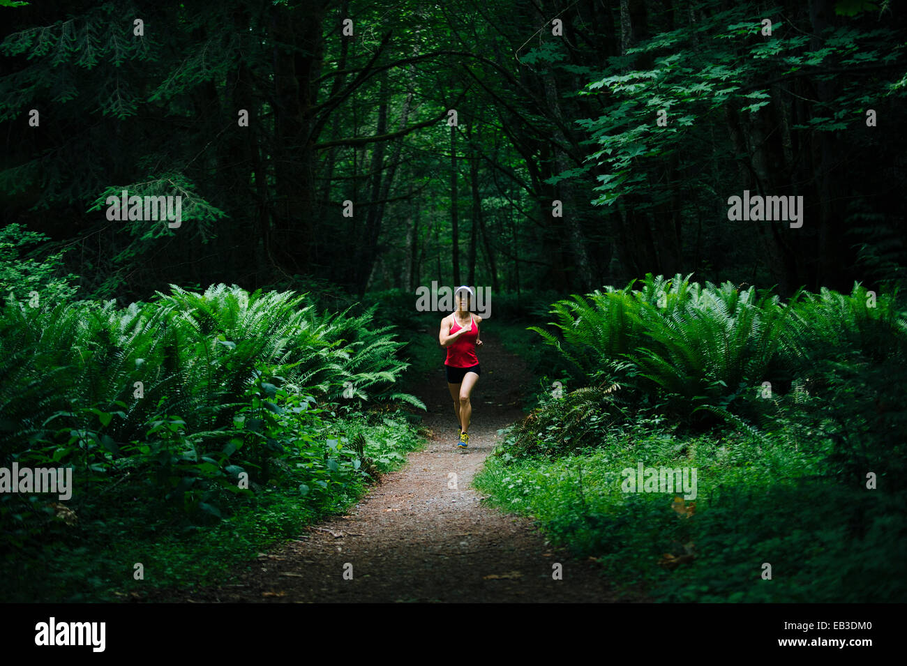 Koreanerin in üppigen Wald laufen Stockfoto