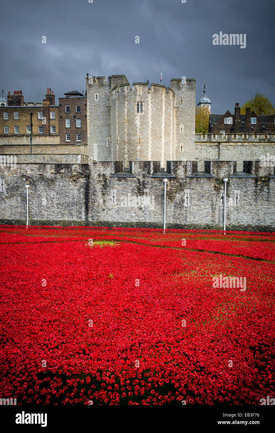 Blut Mehrfrequenzdarstellung Länder und Meere von Red Kunstinstallation an der Tower of London. 888.246 Keramik Mohnblumen in den Turm Graben gepflanzt. Stockfoto