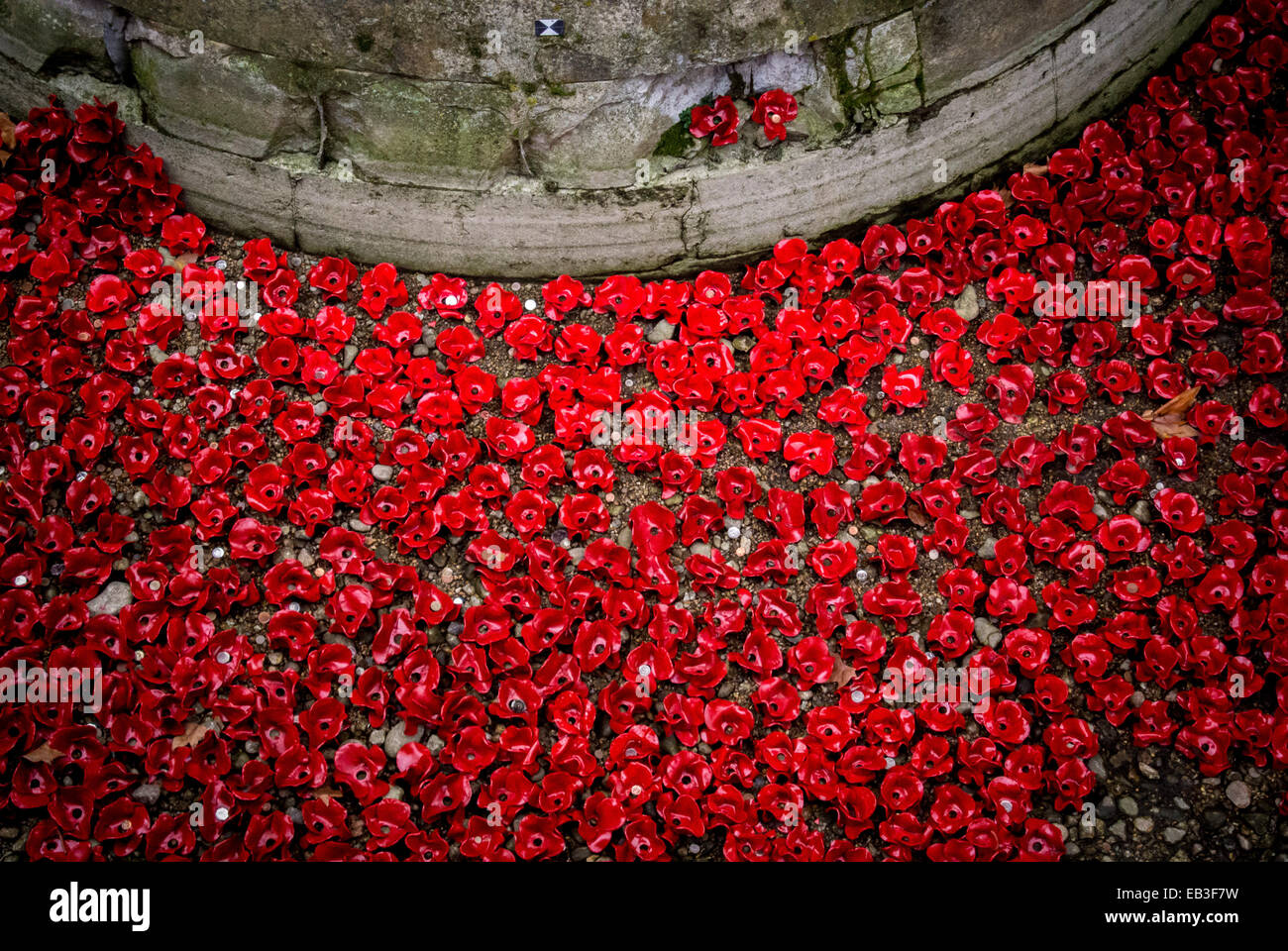 Blut Mehrfrequenzdarstellung Länder und Meere von Red Kunstinstallation an der Tower of London. 888.246 Keramik Mohnblumen in den Turm Graben gepflanzt. Stockfoto
