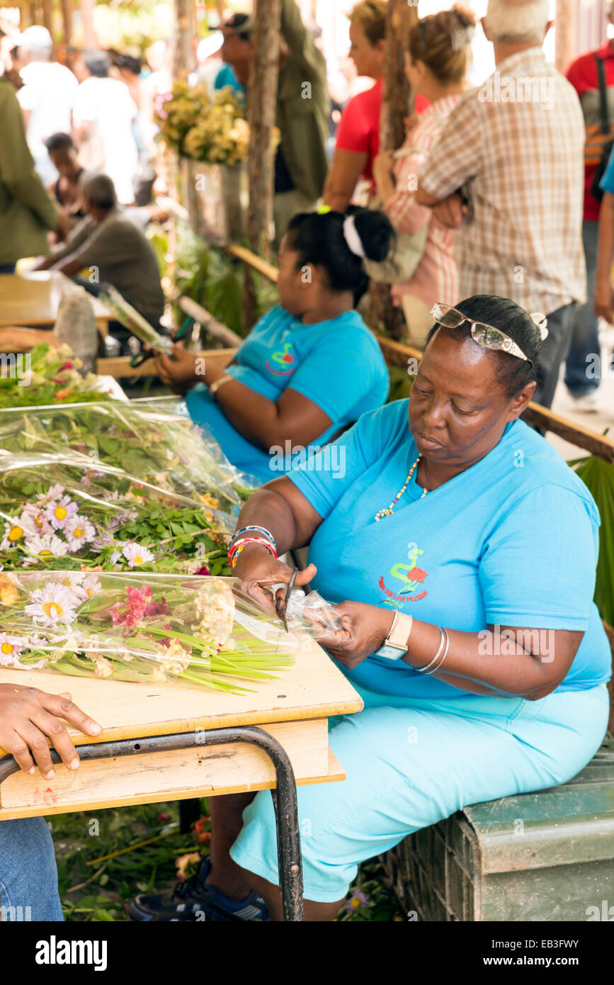 MATANZAS, Kuba - 10. Mai 2014: Lebhafter Straßenmarkt von Blumen und Pflanzen am Tag vor Muttertag. Muttertag feiern Stockfoto