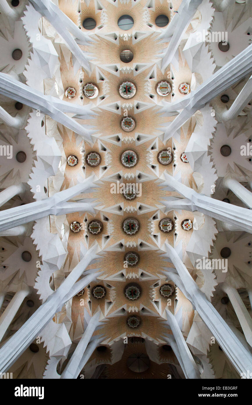 Sagrada Familia (Heilige Familie) entworfen von Antonio Gaudi Interieur zeigt Decke Detail Barcelona, Spanien Stockfoto