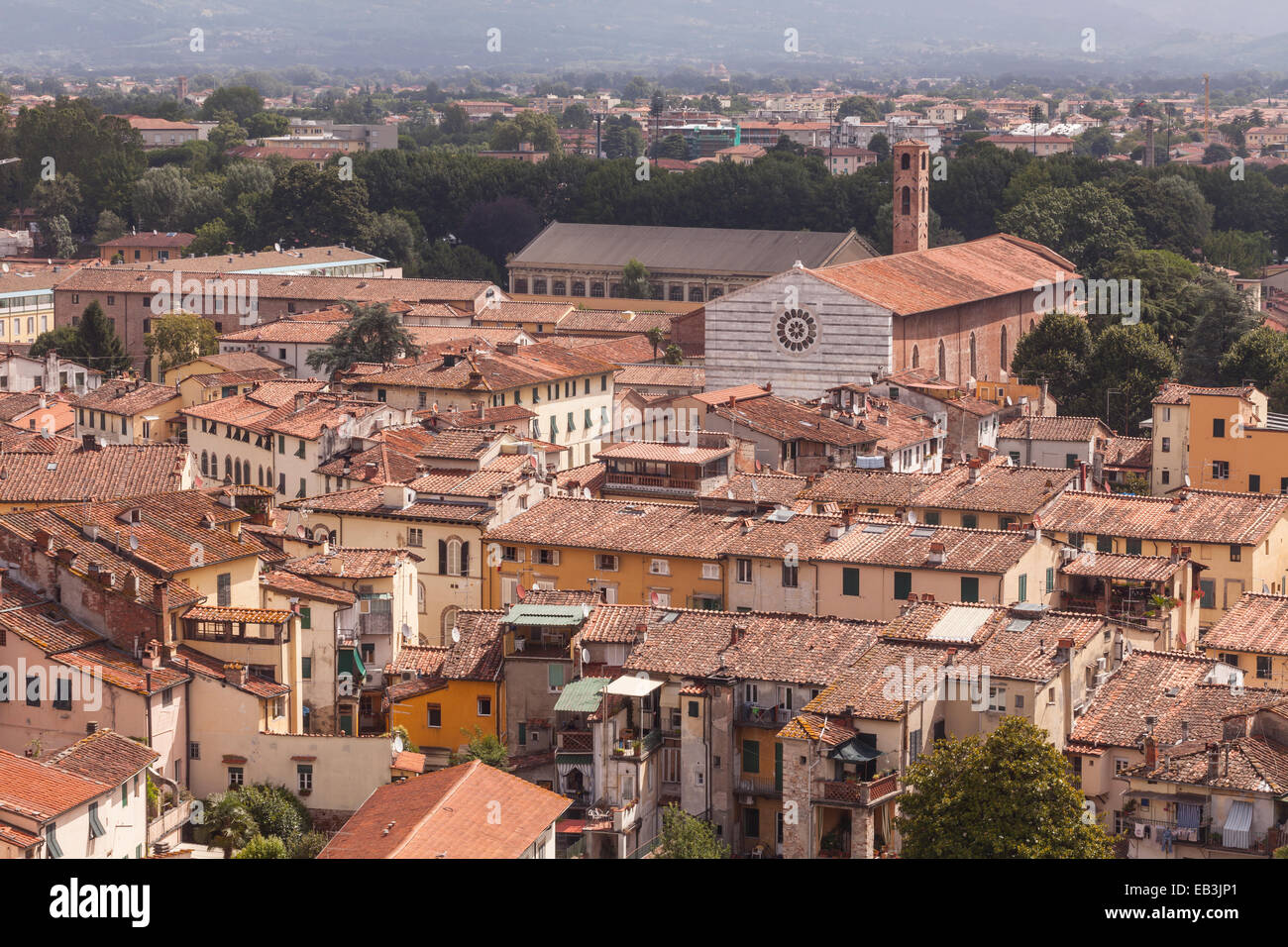 Die Dächer der Altstadt von Lucca, Italien. UNESCO hat die Altstadt als Weltkulturerbe betrachtet. Stockfoto