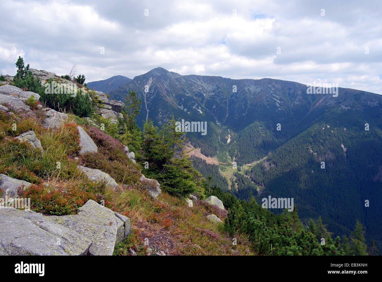 Bystra und andere Gipfel in Zapadne Tatry Bergen aus Nizna Magura-Gipfel Stockfoto