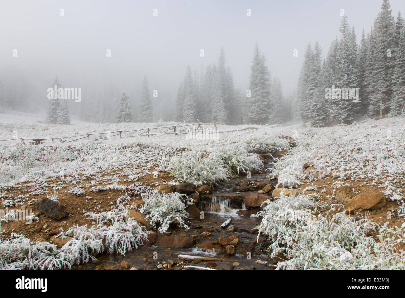 Anfang September Schnee versteckt Vally Gebiet entlang der Trail Ridge Road in Colorado Rocky Mountain Nationalpark Stockfoto