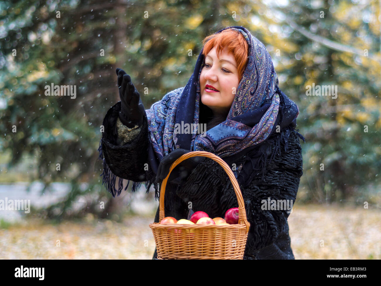 Frau mit Korb Äpfel im Wald, kommt den ersten Schnee Stockfoto