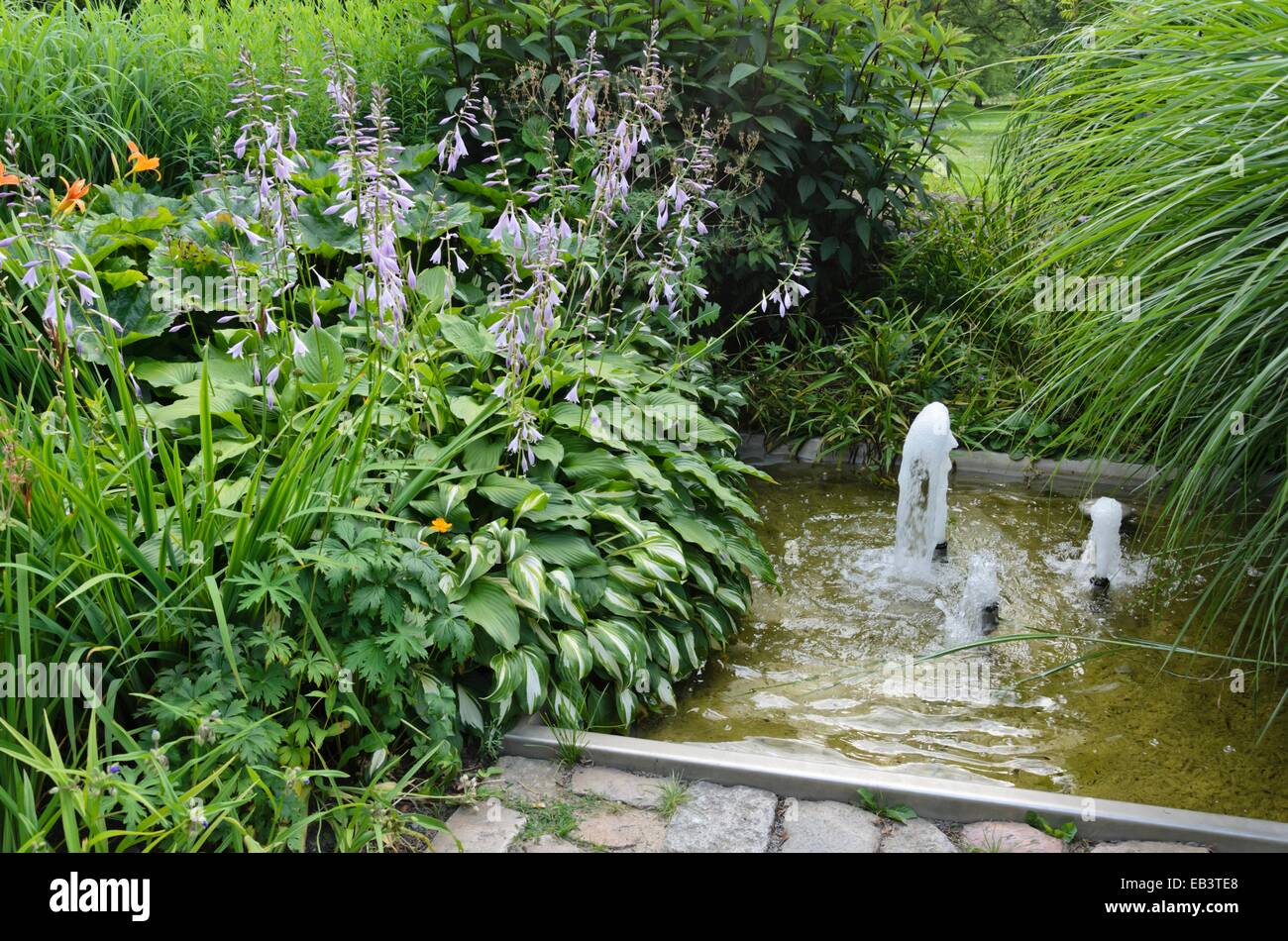 Wegerich Lilien (Hosta) in einem beständigen Garten mit einem Brunnen Stockfoto