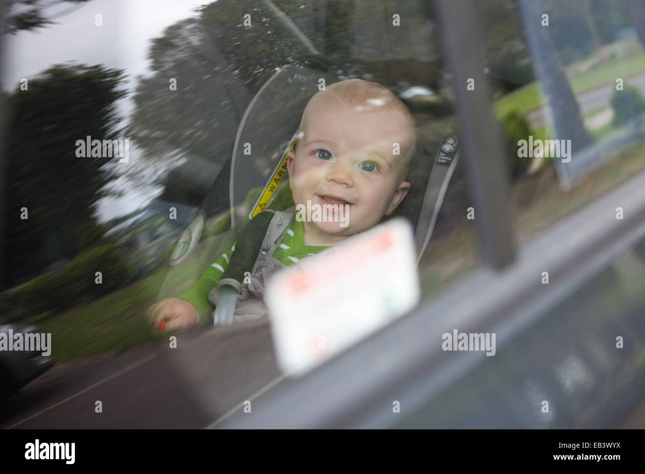 Baby-Jungen auf der Suche durch Autofenster Stockfoto