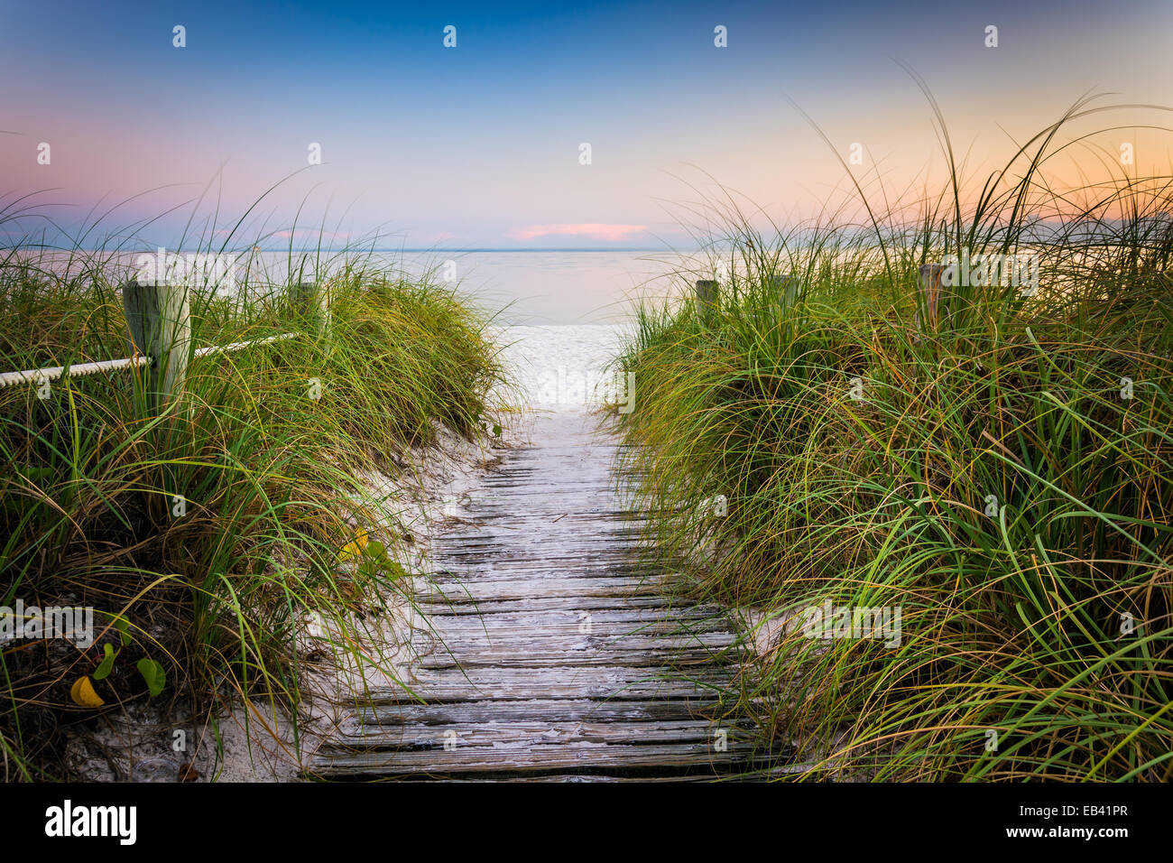 Gräser und Zaun Weg der Smathers Beach bei Sonnenuntergang, Key West, Florida. Stockfoto