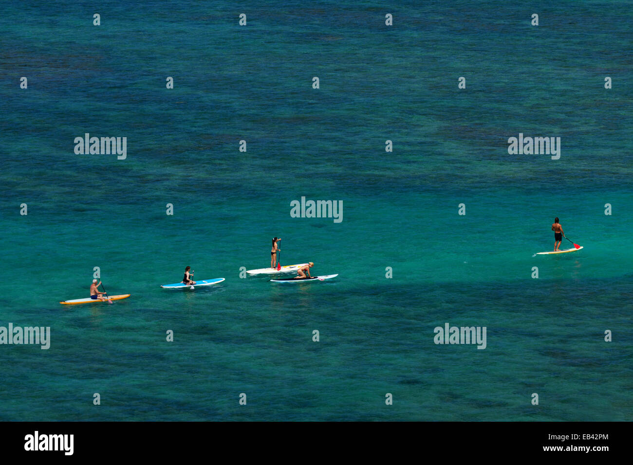 Stehen Sie Paddel-Boarder, Waikiki, Honolulu, Oahu, Hawaii, USA auf Stockfoto