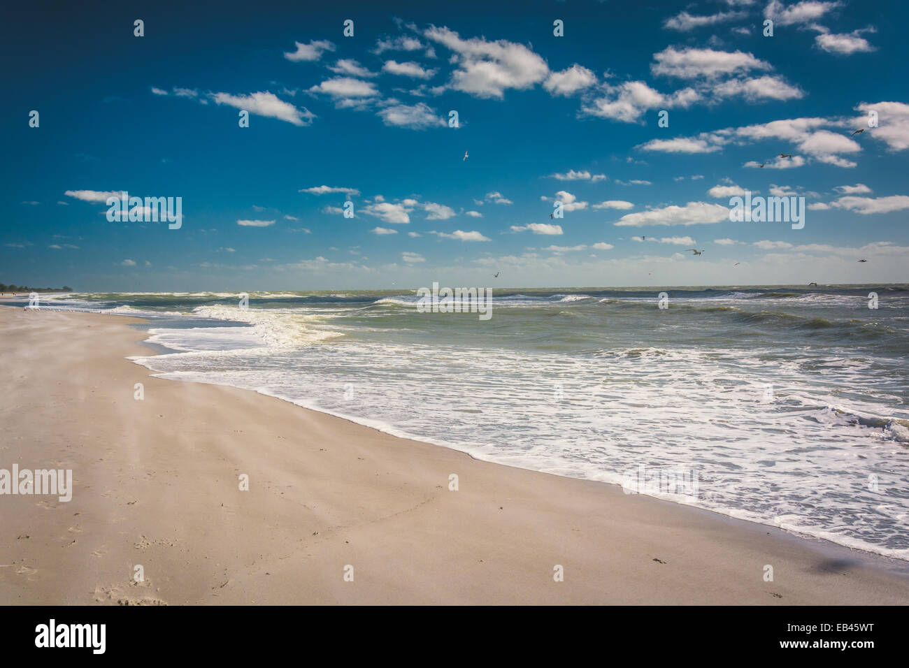 Strand von Sanibel, Florida. Stockfoto