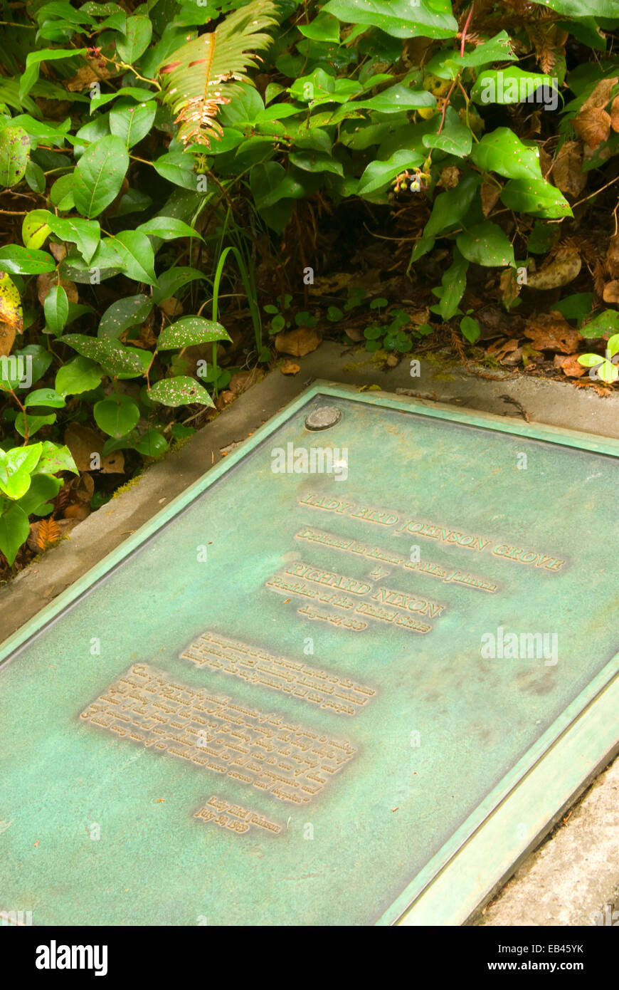 Einweihung Gedenktafel an Lady Bird Johnson Grove, Redwood National Park, Kalifornien Stockfoto