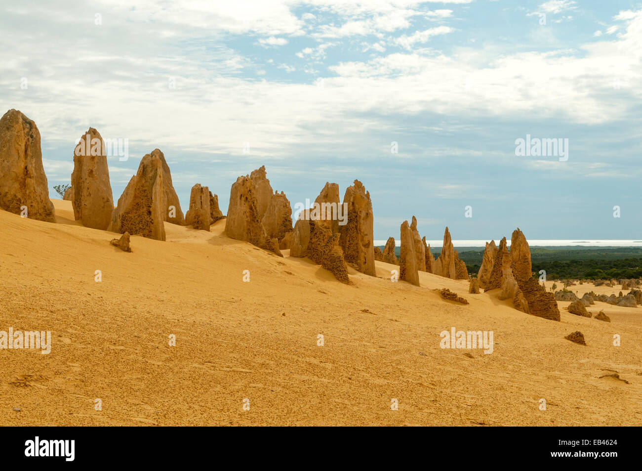 Die Pinnacles, Nambung NP, WA, Australien Stockfoto