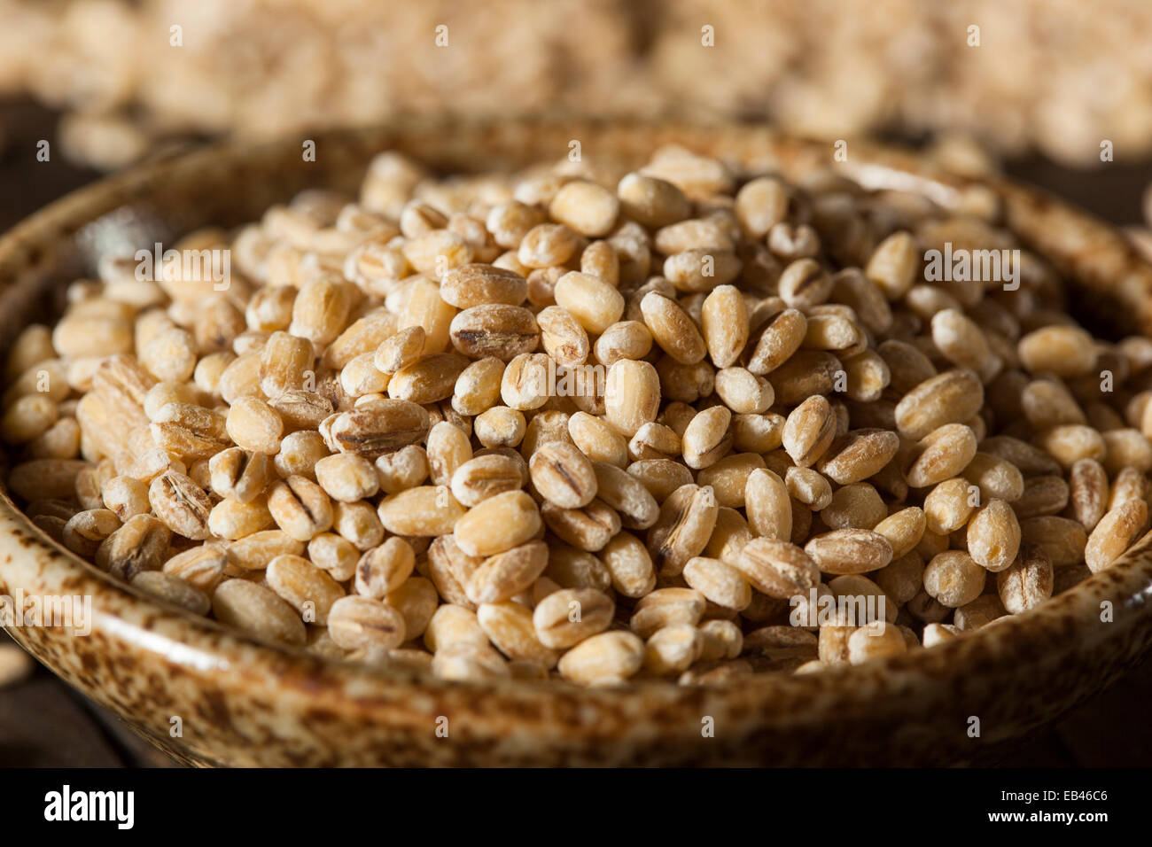 Rohe Bio-Gerste Getreide auf einem Hintergrund Stockfoto